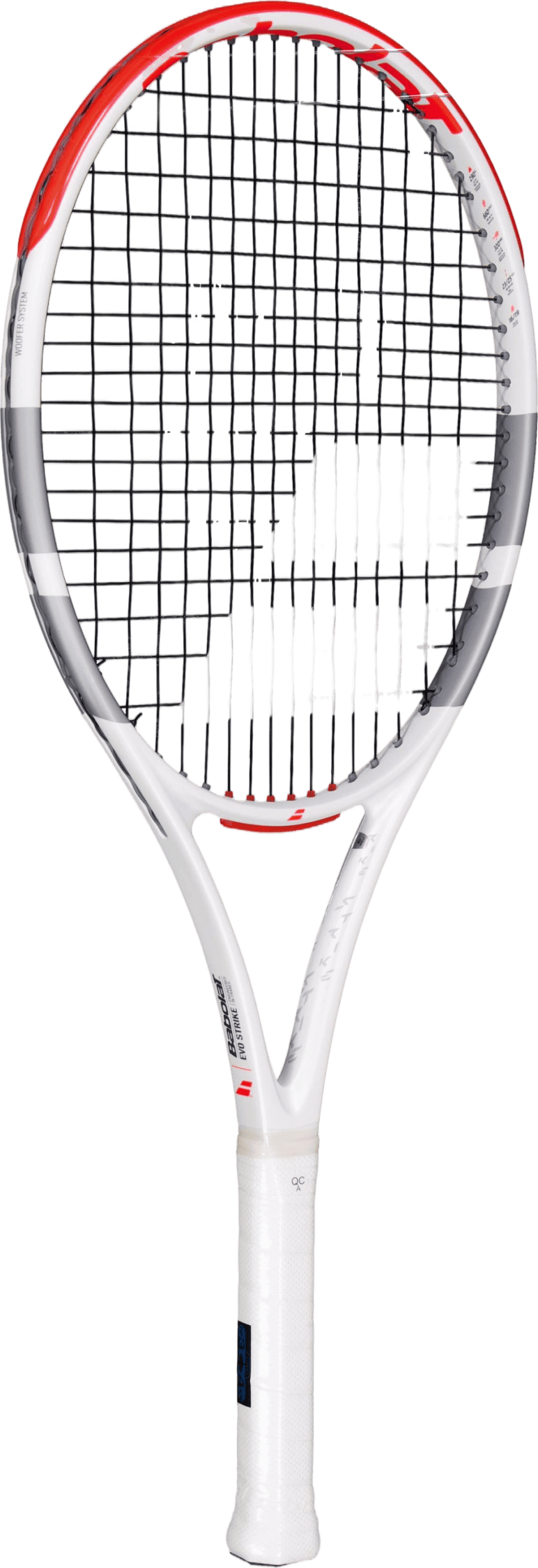 Evo Strike Strung 2024 - Bild 2