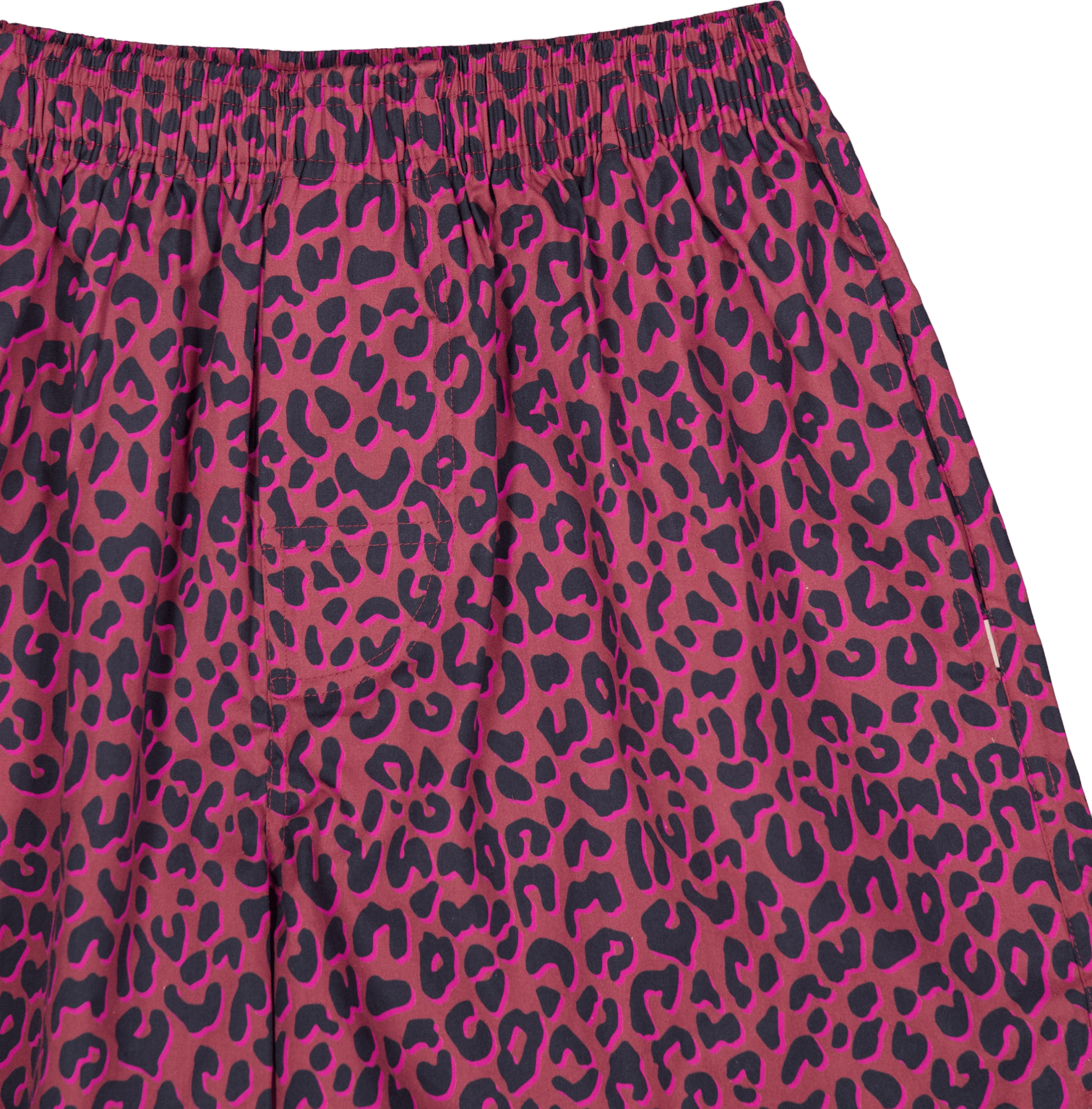 Tiger Red 600 Red - Bild 3