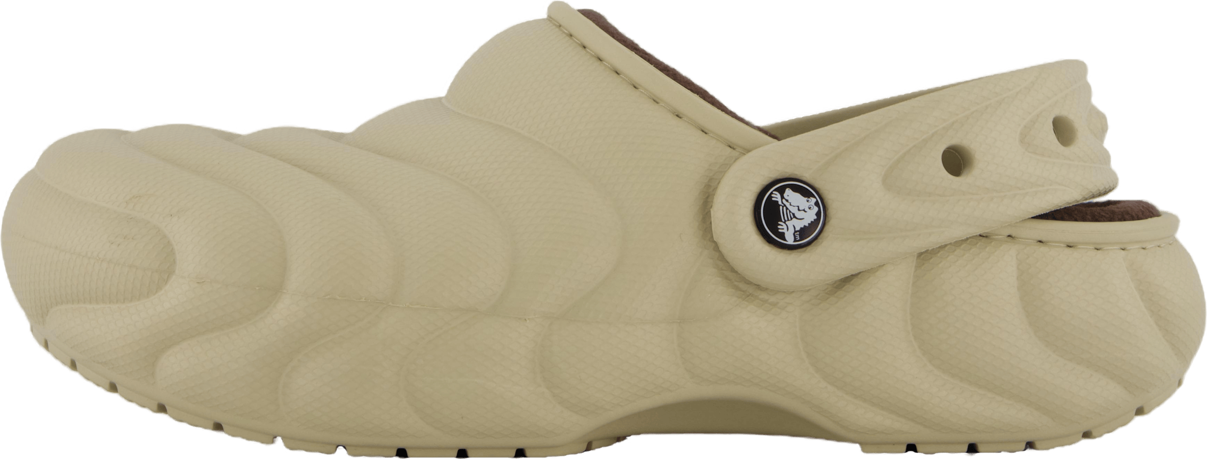 Classic Lined Overpuff Clog Moth