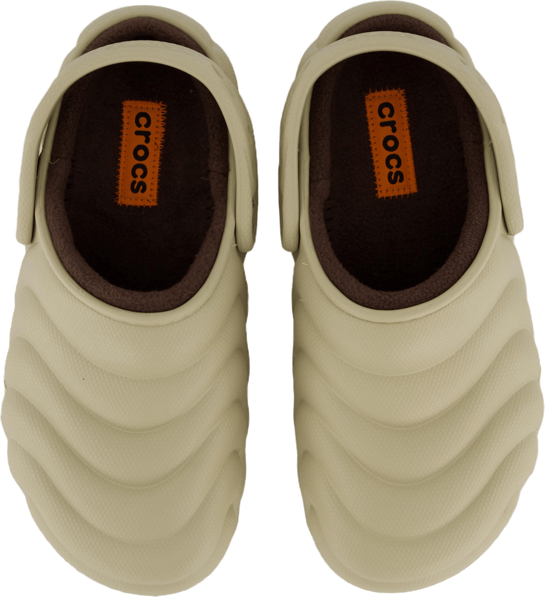 Classic Lined Overpuff Clog Moth - Bild 6