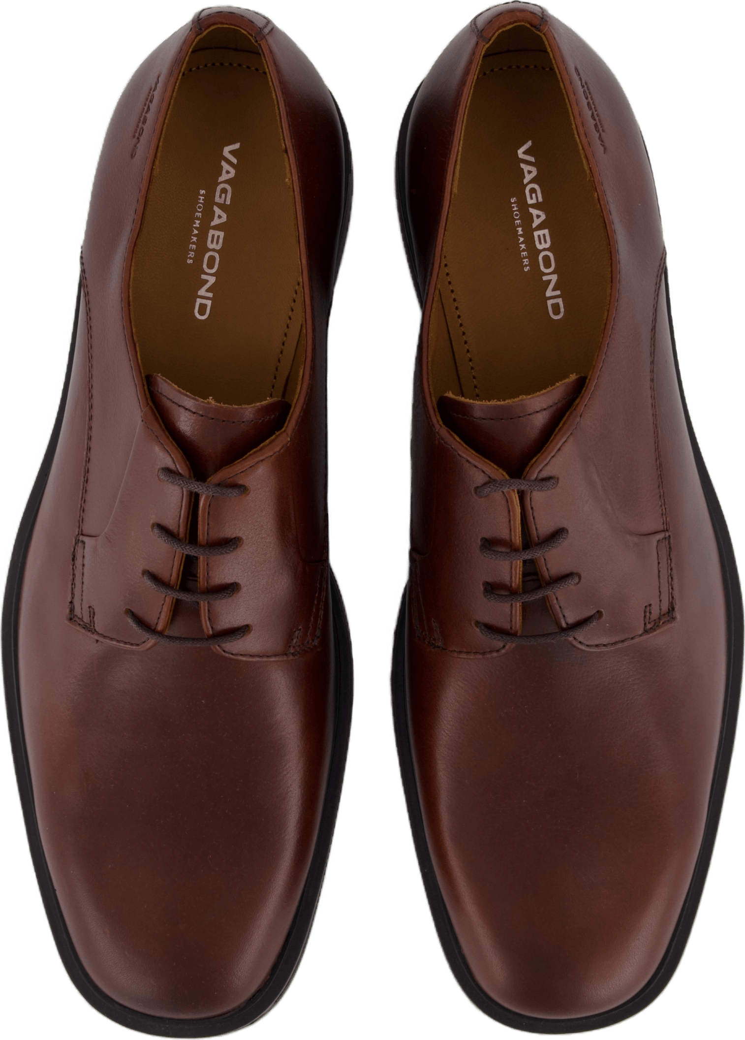 Andrew Chestnut - Bild 6