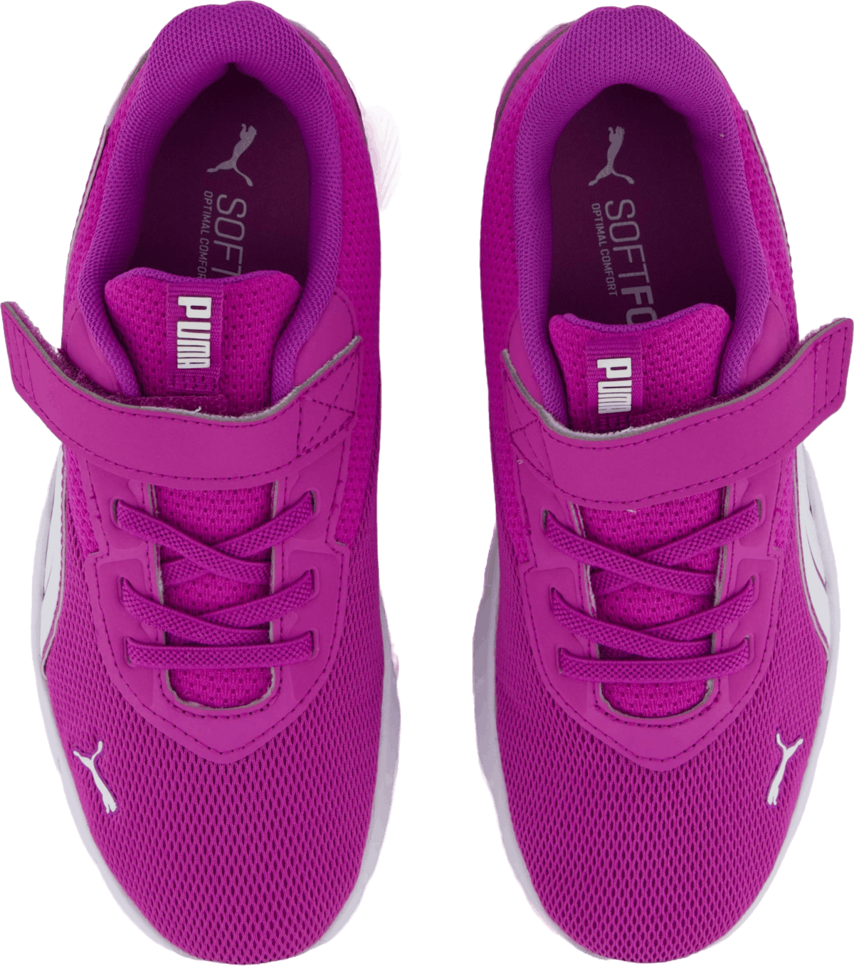 Flexfocus Modern Ac+ Ps Wild Berry-puma White