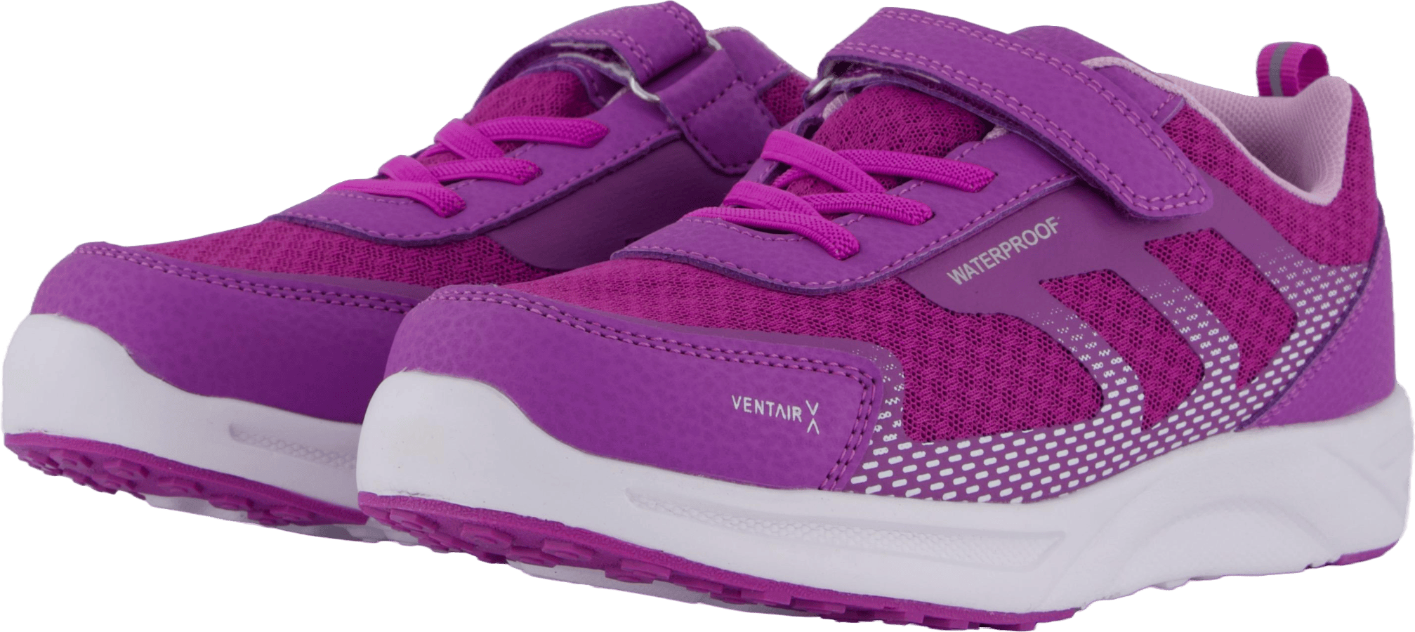 Perry Purple - Bild 2