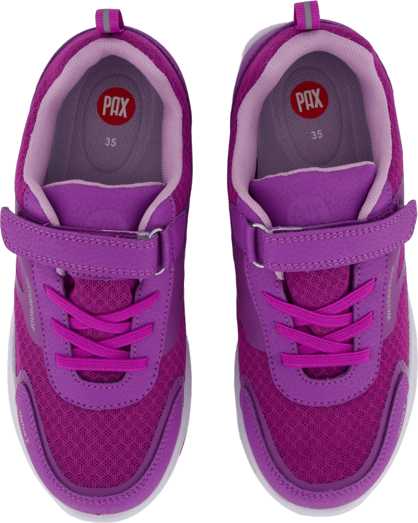 Perry Purple - Bild 6