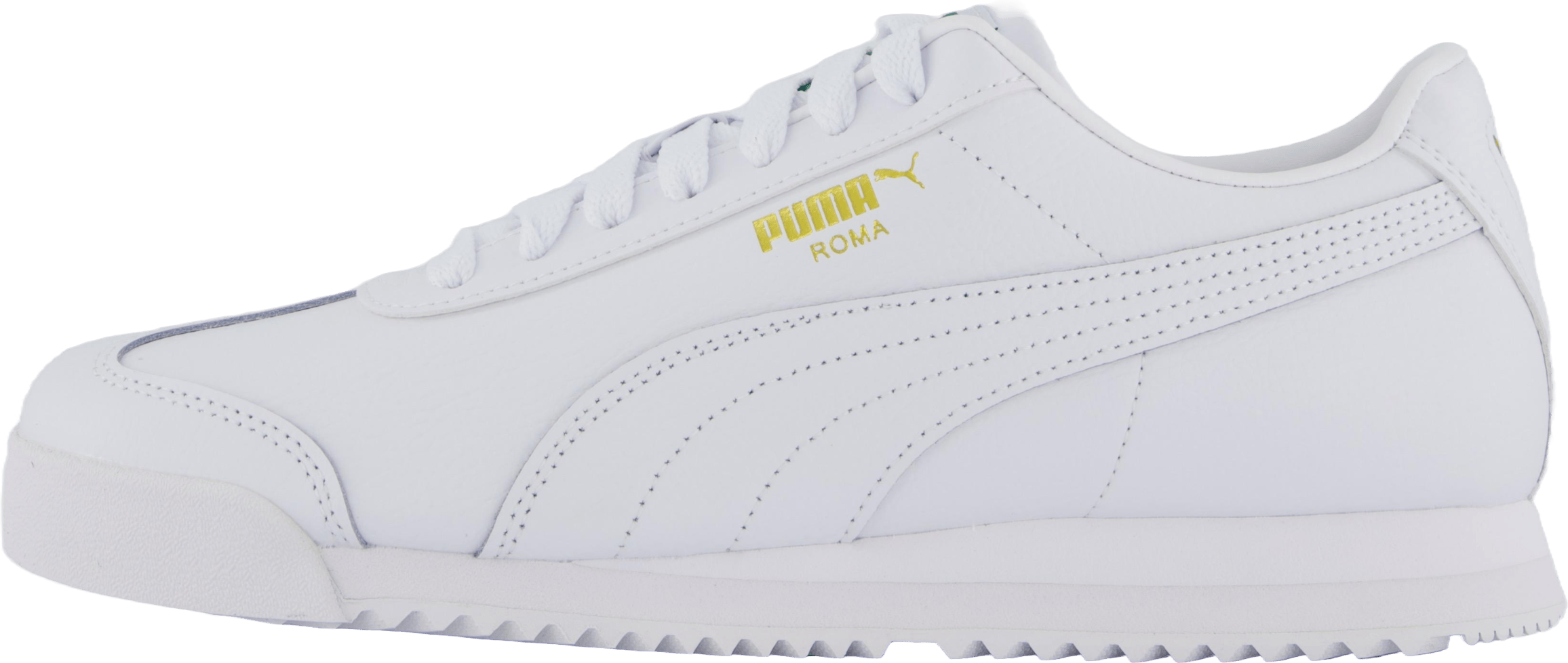 Roma 24 Standard White