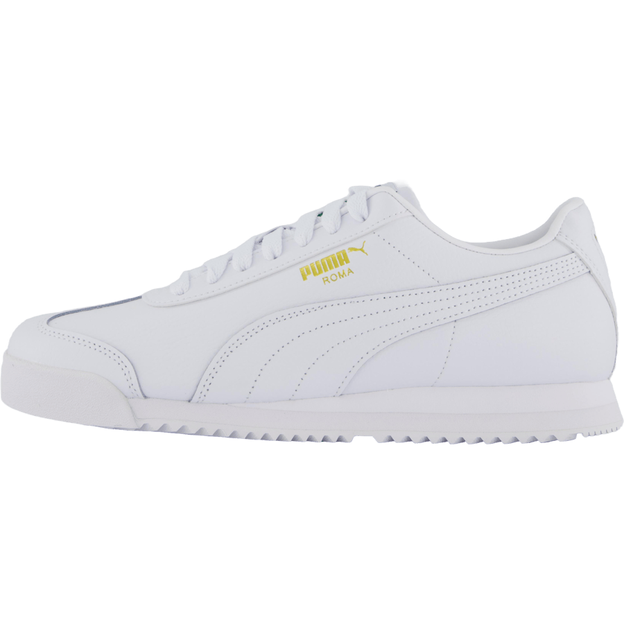 Roma 24 Standard White