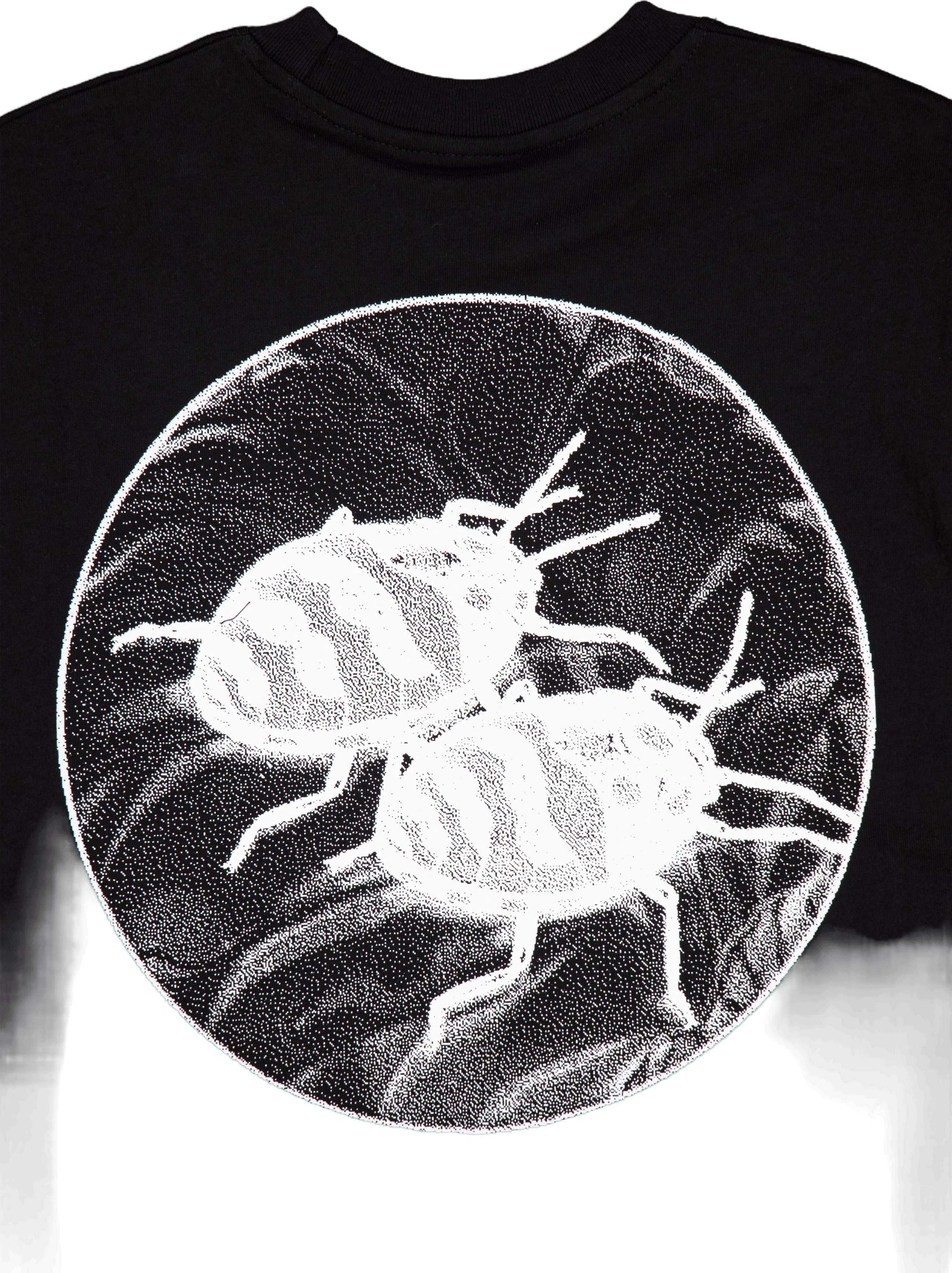 Nature Study Tee Black - Bild 4