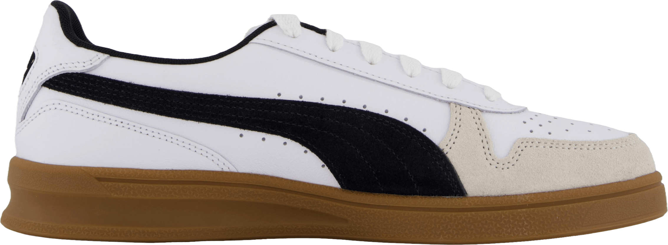 Indoor White-dark Myrtle-gum - Bild 3