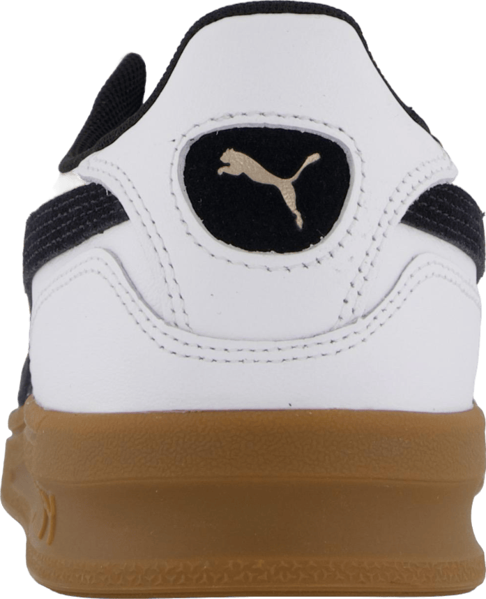 Indoor White-dark Myrtle-gum - Bild 5