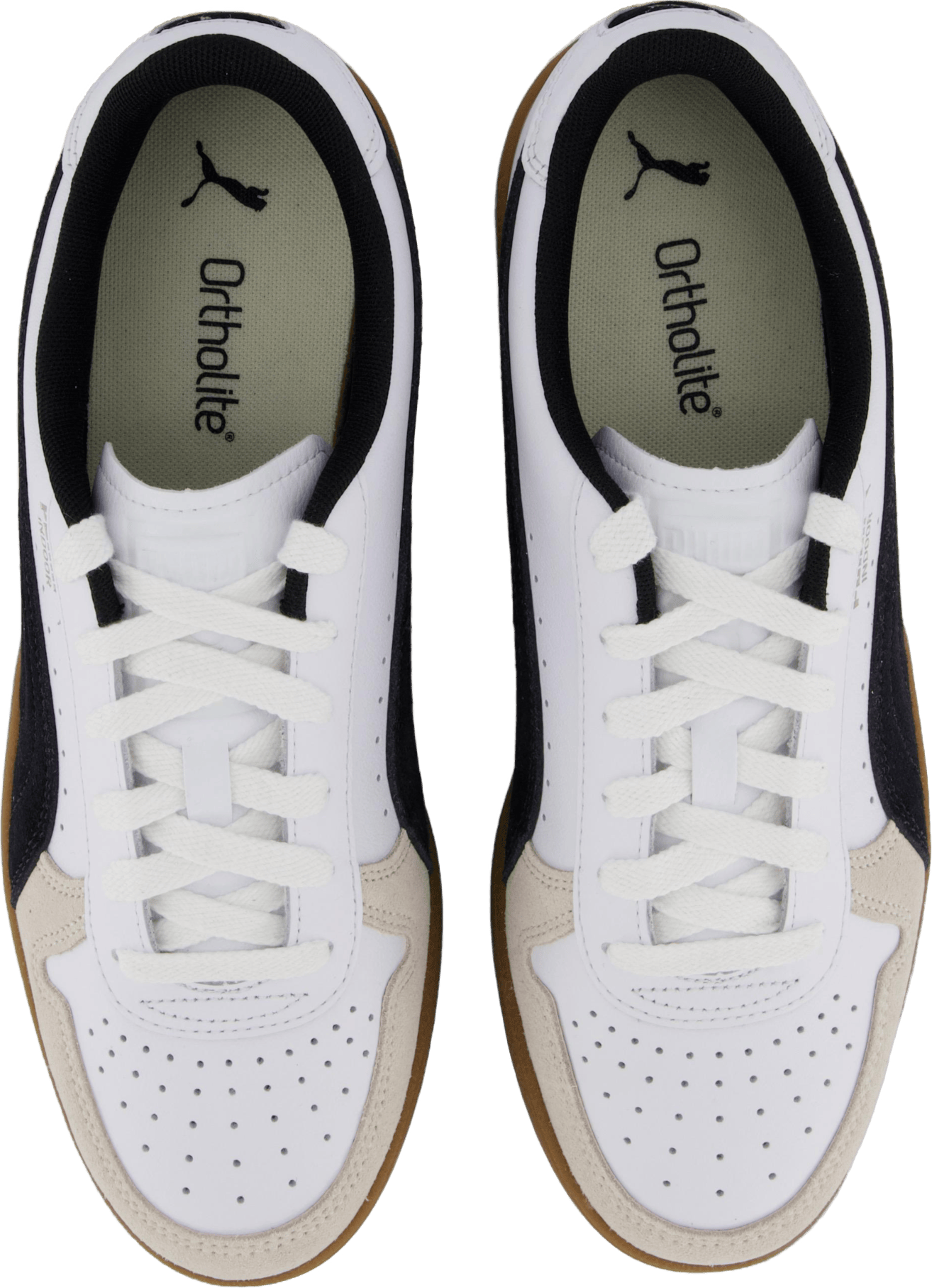 Indoor White-dark Myrtle-gum - Bild 6