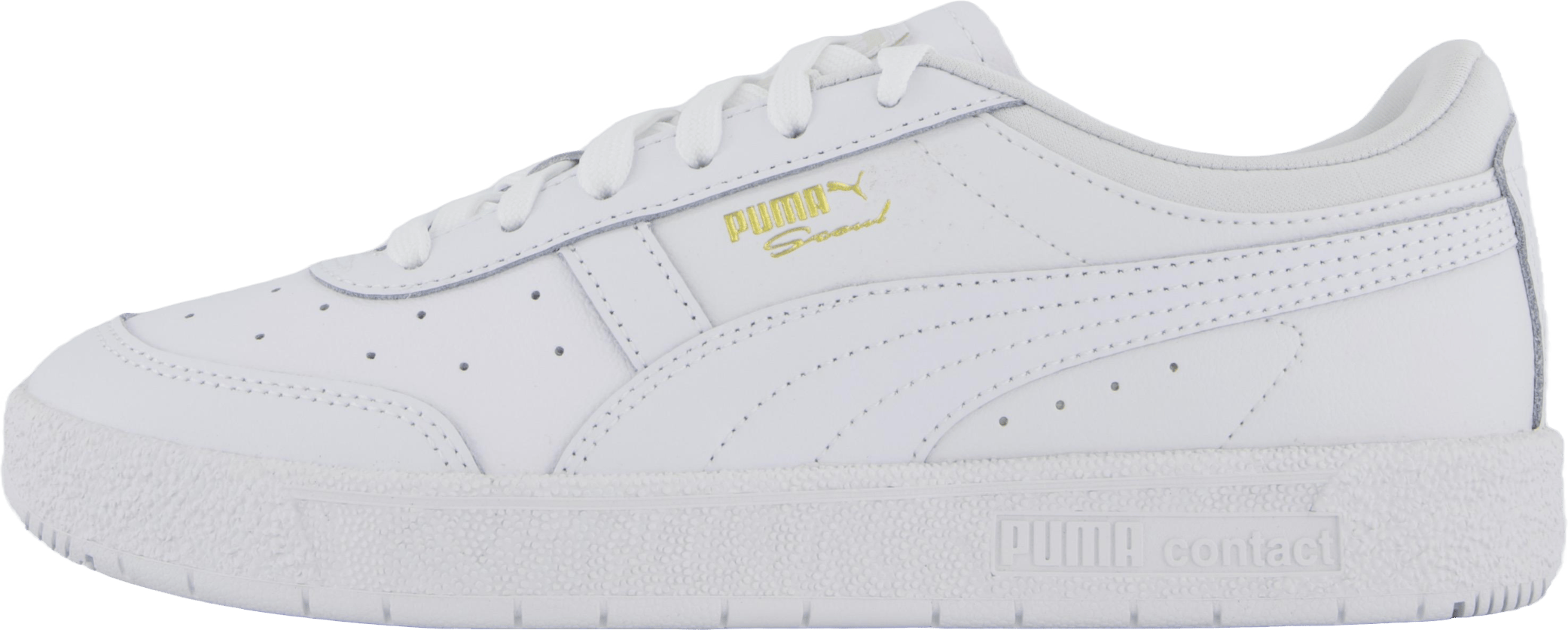 Seoul Lth White-white
