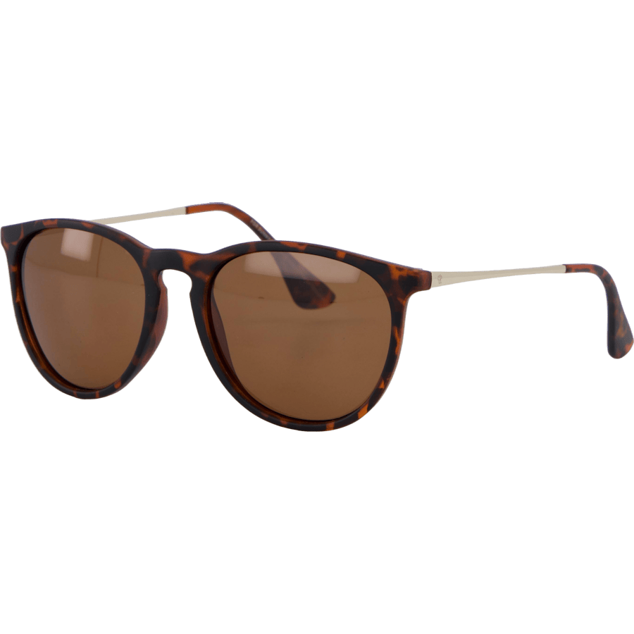 Roma Turtle Brown / Brown