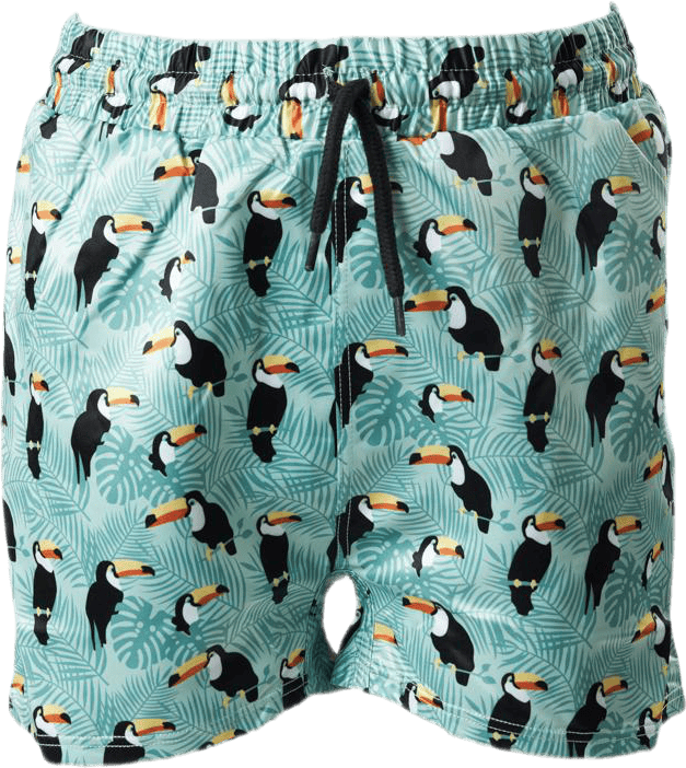 Solig Swim Shorts Green