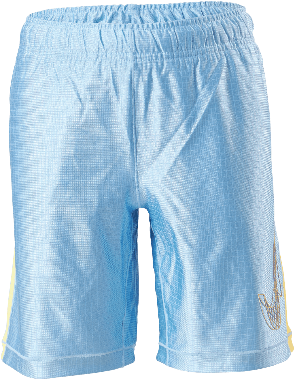 Jr Dri-Fit Graphic Shorts Blue