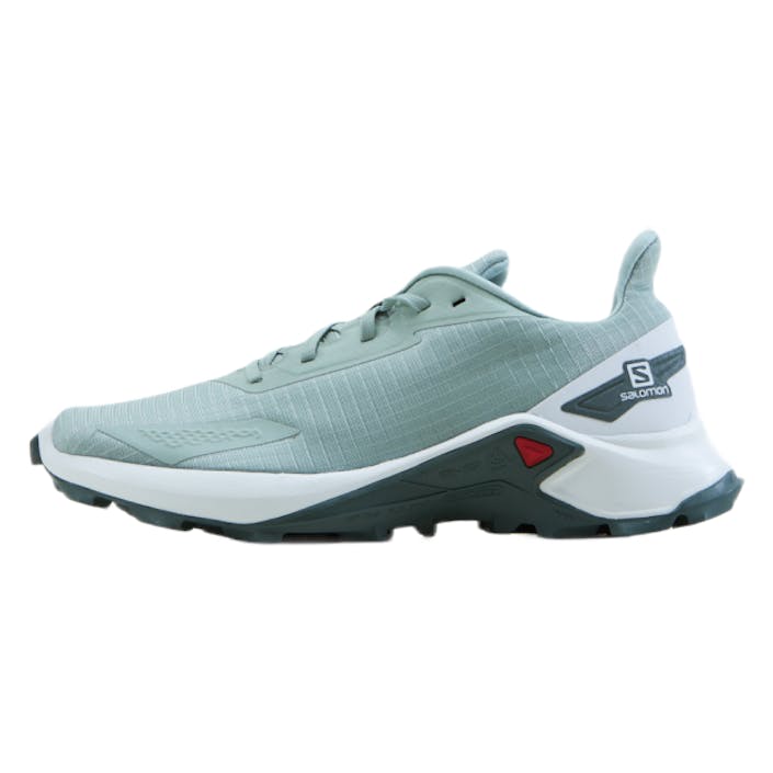 Alphacross Blast Grey, Female, Topánky, Bežecké topánky, Beží, Šedá, EU 42 2/3