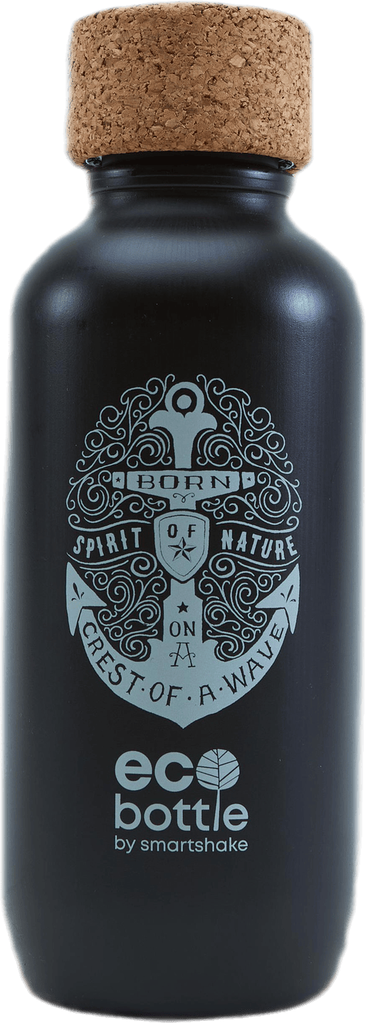 EcoBottle 650ml Black, Unisex, Equipment, bottles & flasks, Black, ONESIZE