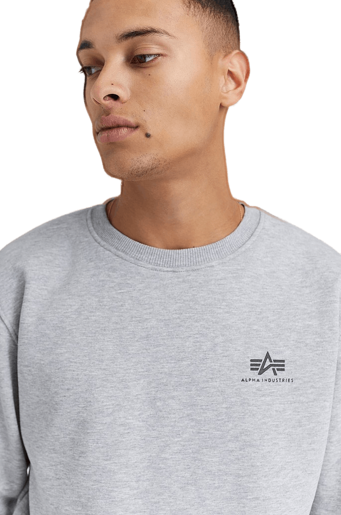 Basic Sweater Small Logo, Male, Kleding, Overhemden, Grijs, L