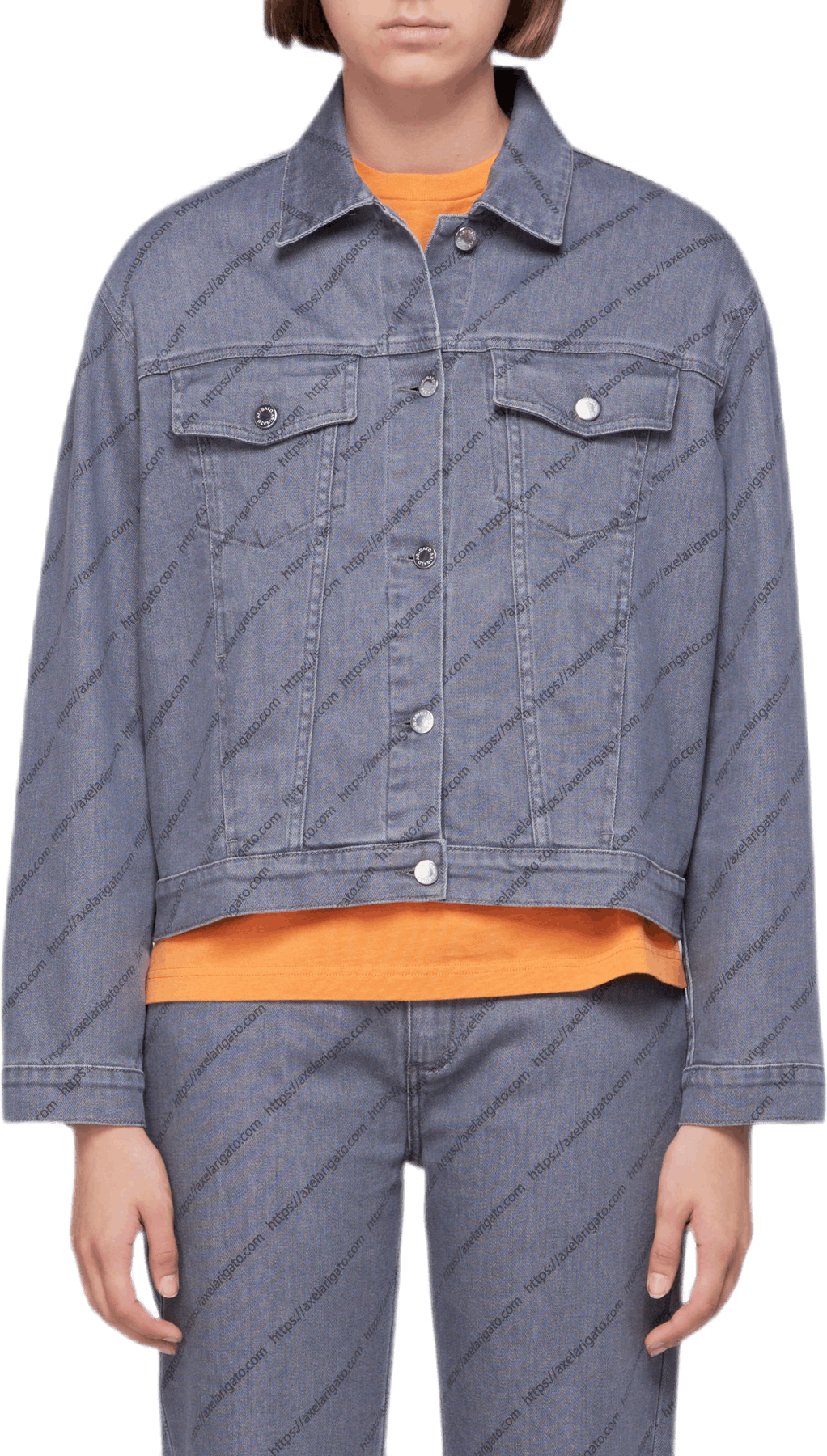 Denim Jacket Gray, Female, Abbigliamento, giacche, Grigio, M