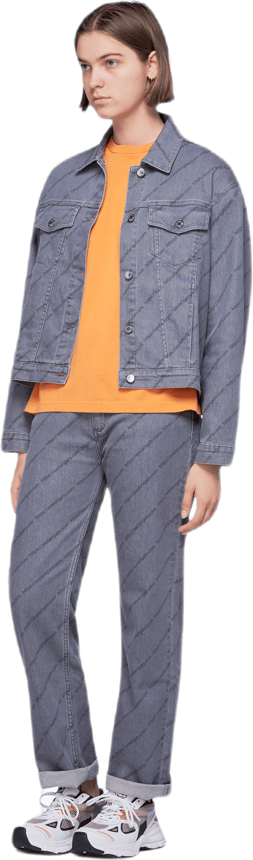 Denim Jacket Gray - Bild 2