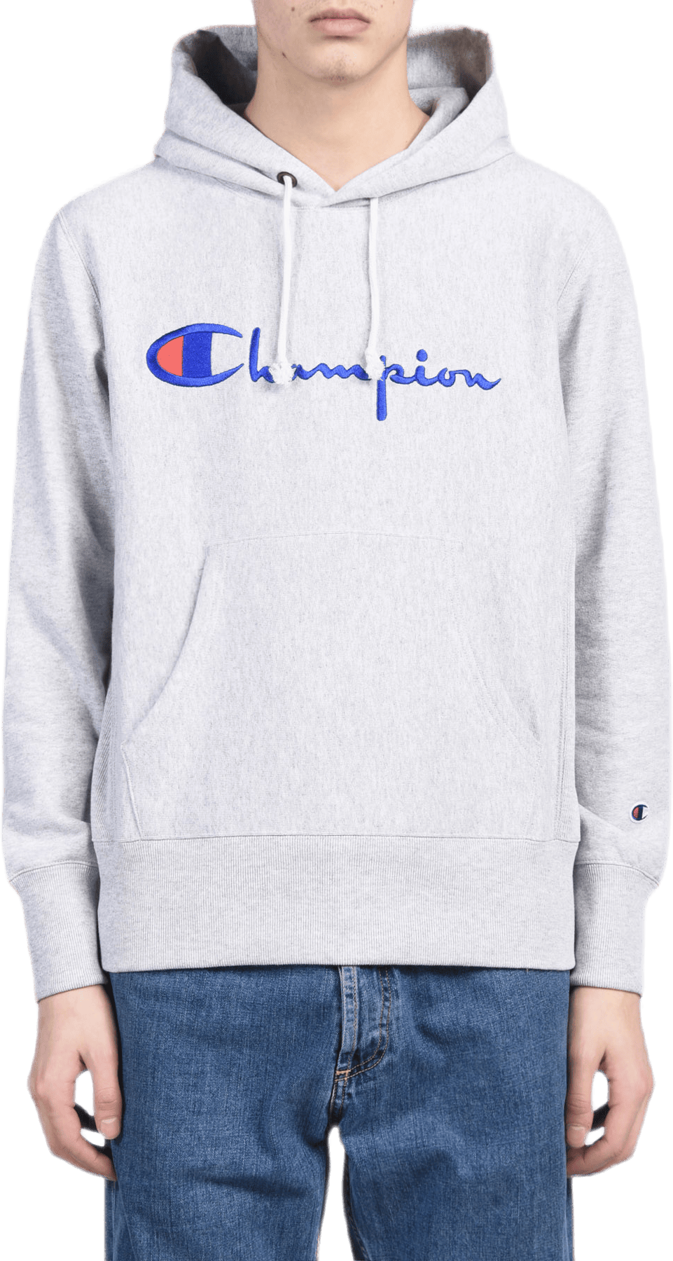 Hooded Sweatshirt Gray