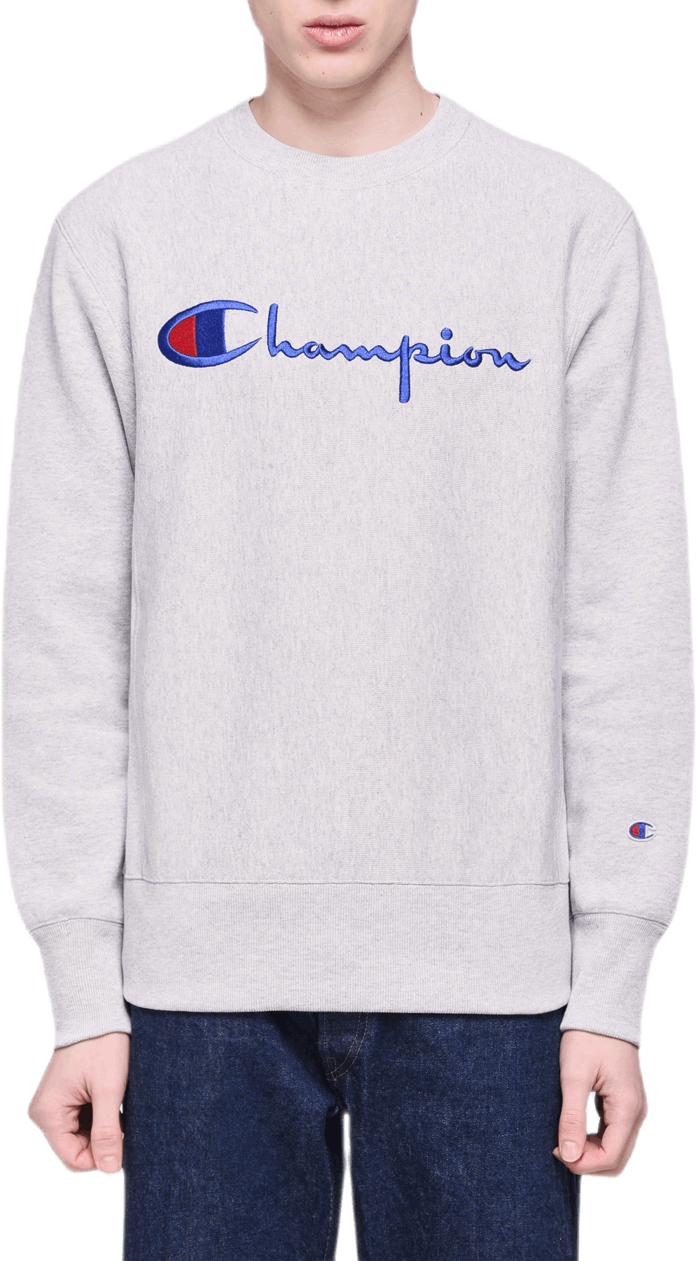 Crewneck Sweatshirt Gray, Male, Apparels, hoodies and sweatshirts, White, L