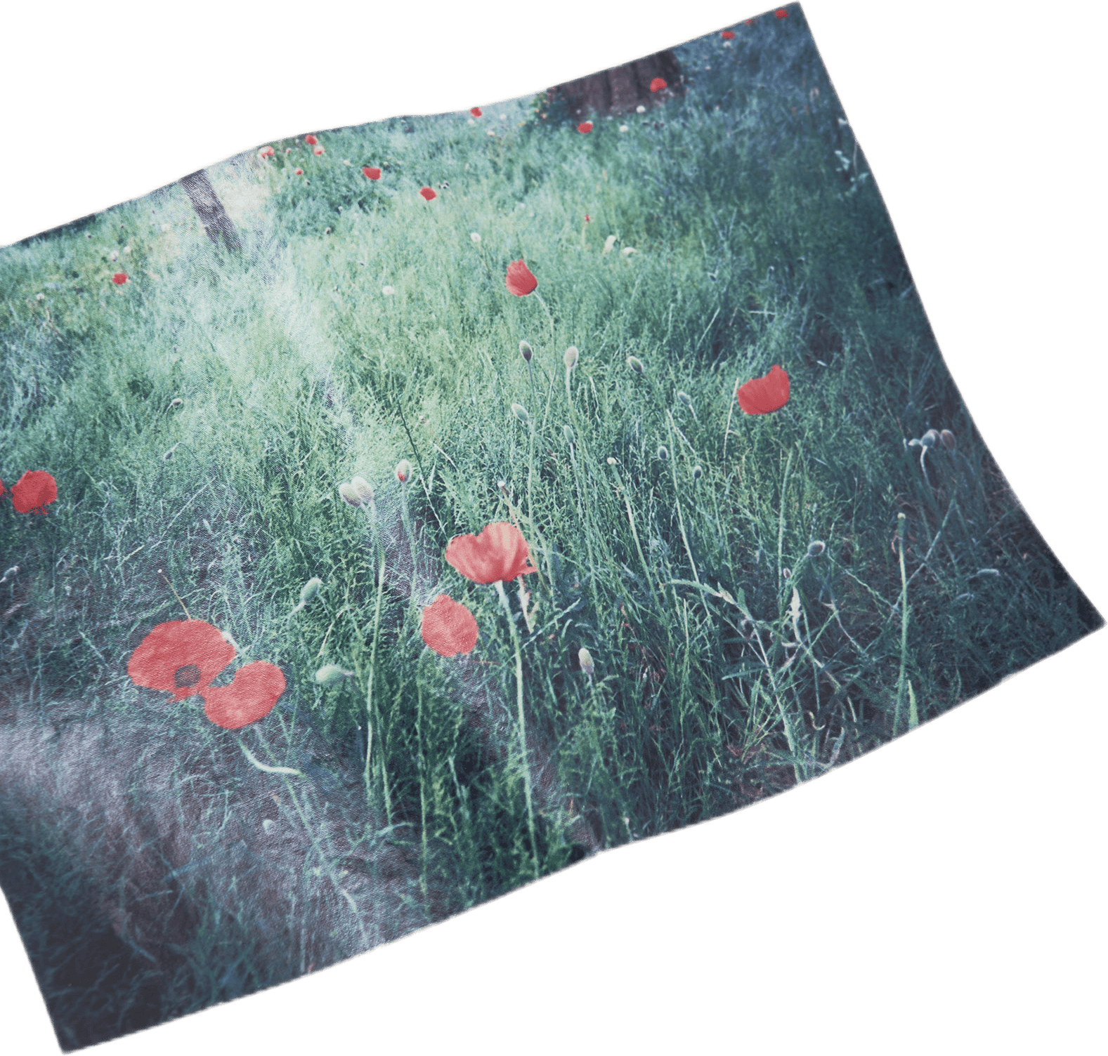 Blant Bowling Shirt White - Bild 2