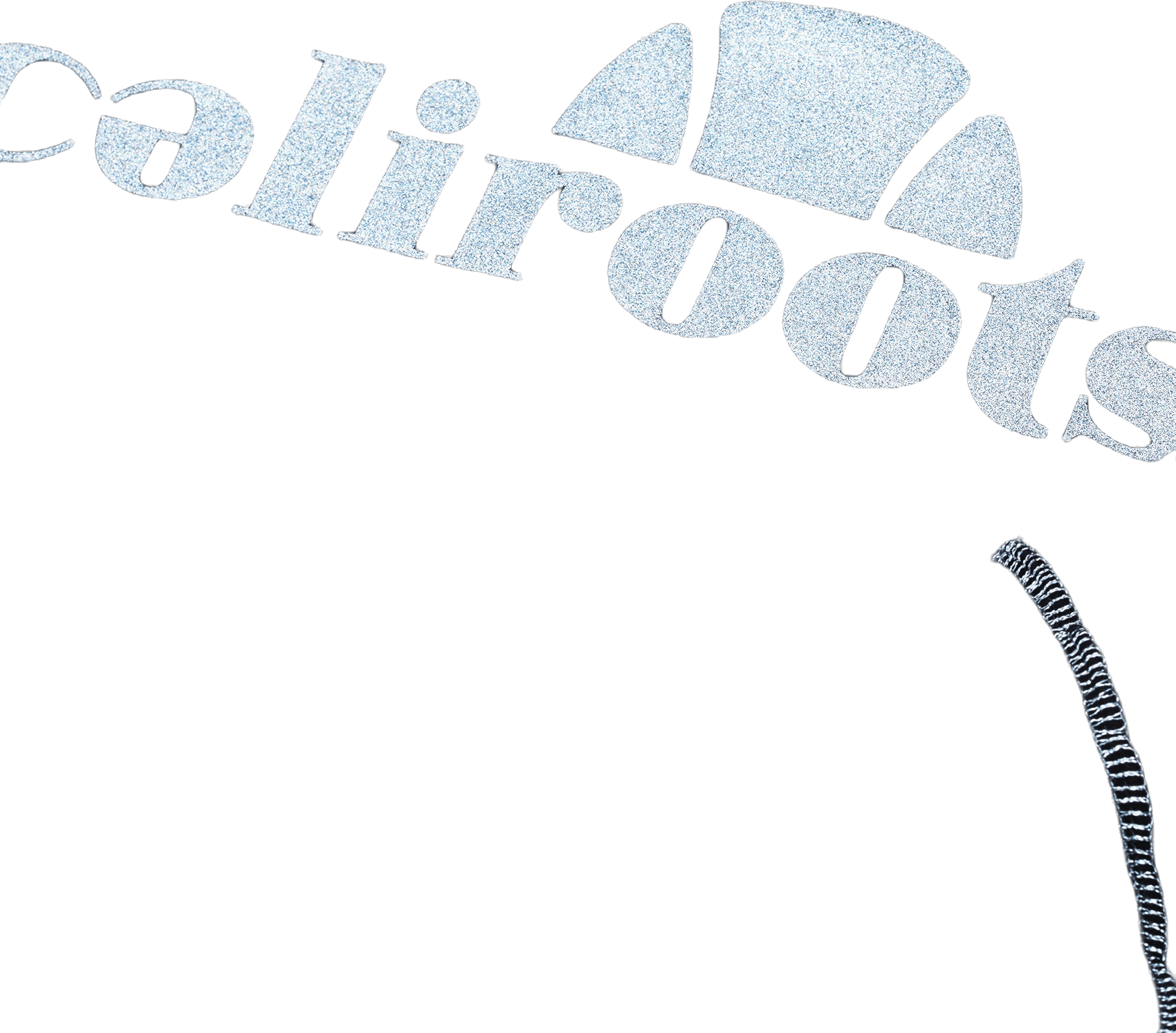 X Caliroots Giallo Crewneck Black - Bild 6