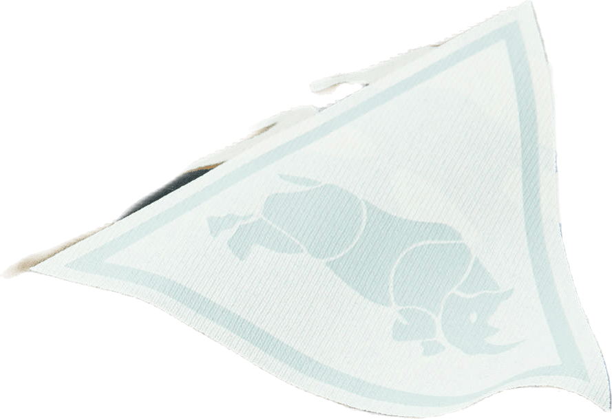 Ss T-shirt Reg Ctnmb Ap Green - Bild 2