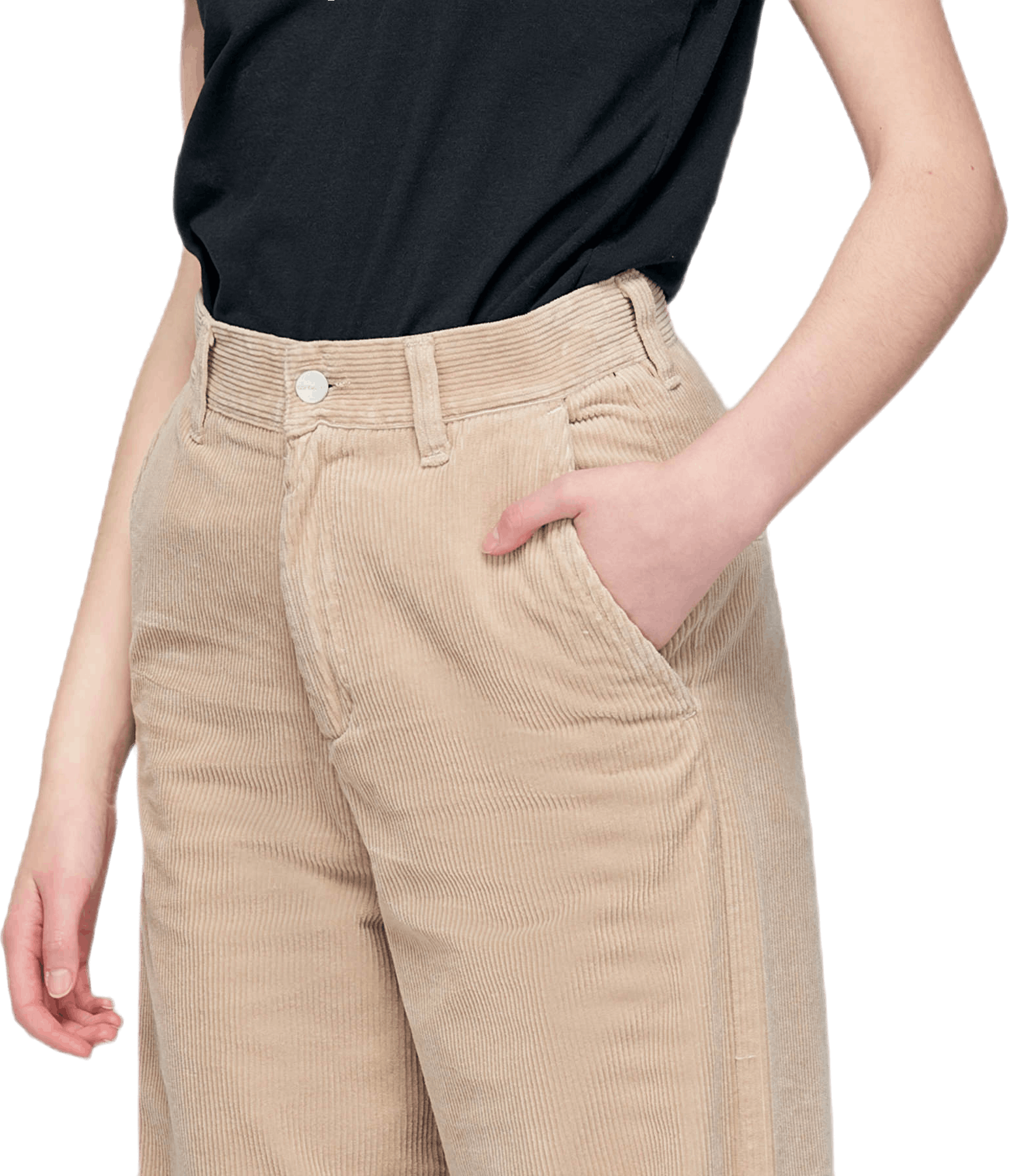 Cardony pant Clearance