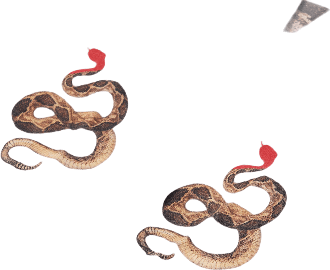 Serpent Ls T-shirt White - Bild 3