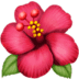 :hibiscus: :hibiscus: