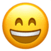 :smile: :smile: