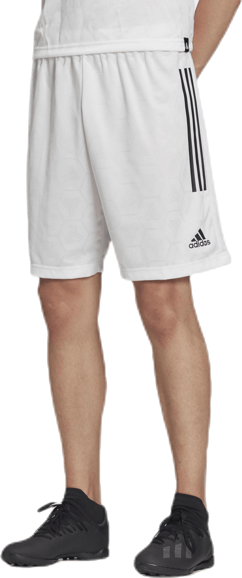 Tango JQD Short White