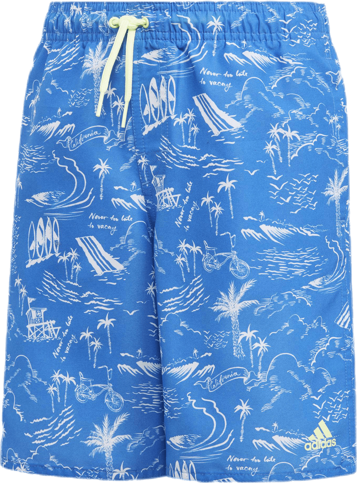 Pattern Boardshorts Youth Blue, Unisex, Apparels, Swimwear, Swimming, Blue, 158