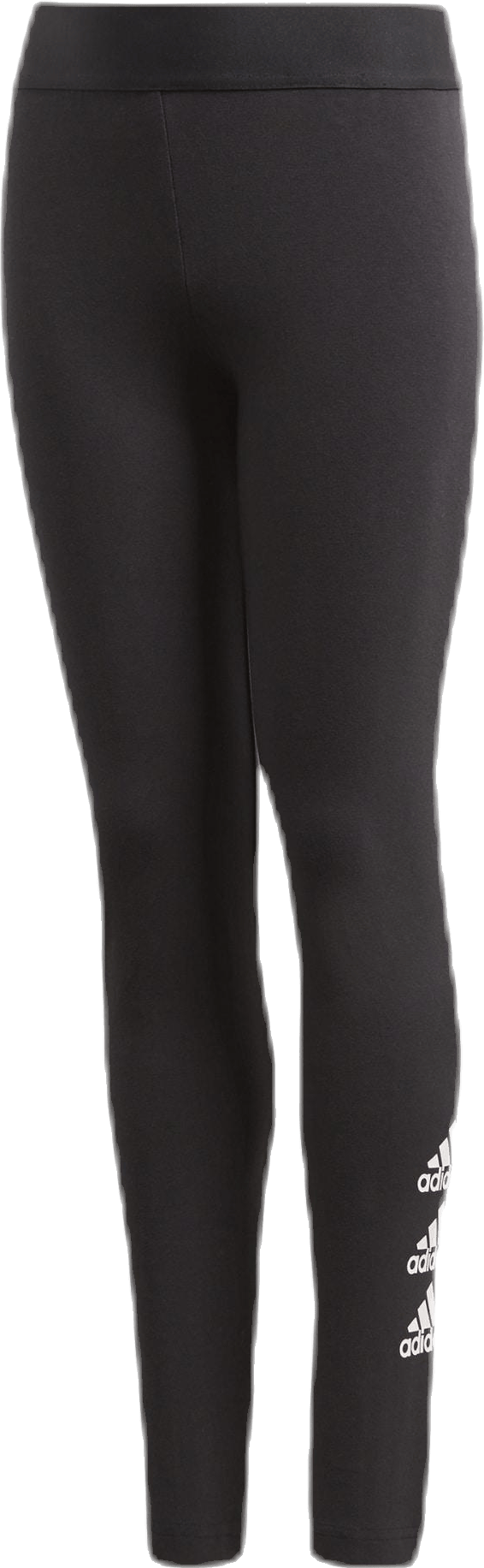 Must Haves Bos Tight Black / White