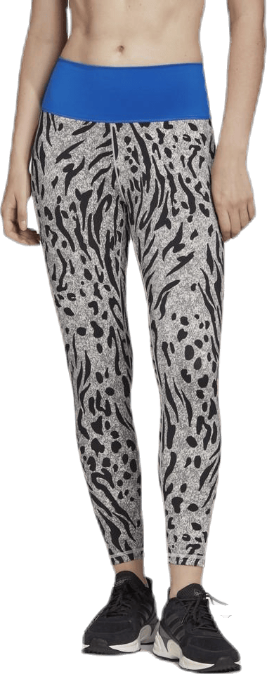 Believe This Tight P Blue/Grey