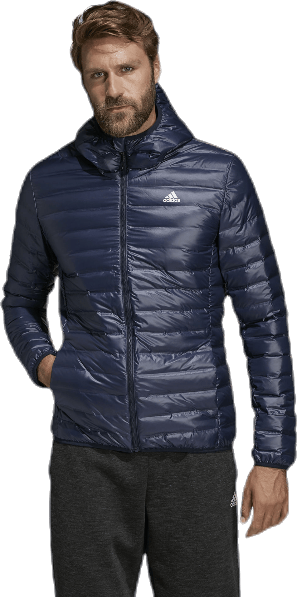Varilite Hood Jacket Blue, Male, Apparels, jackets, Black, S