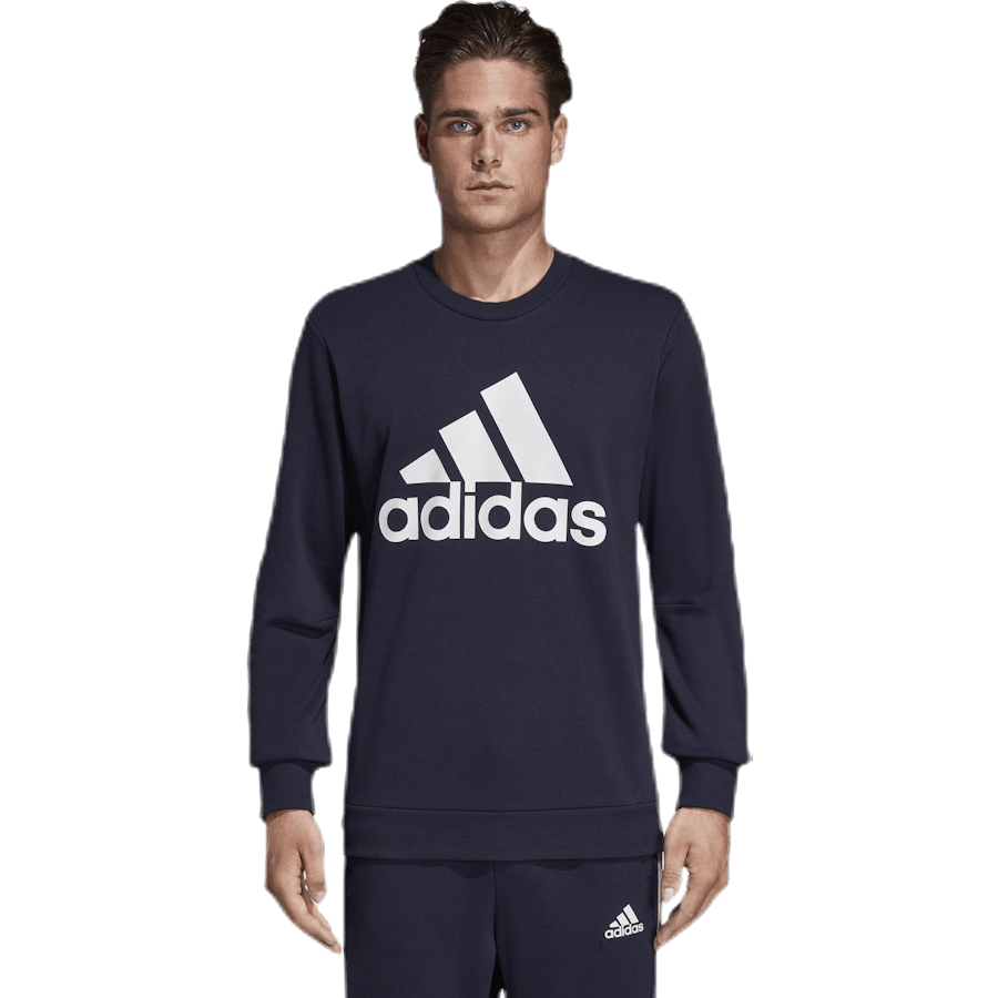 Must Have Fitted Crew Blue