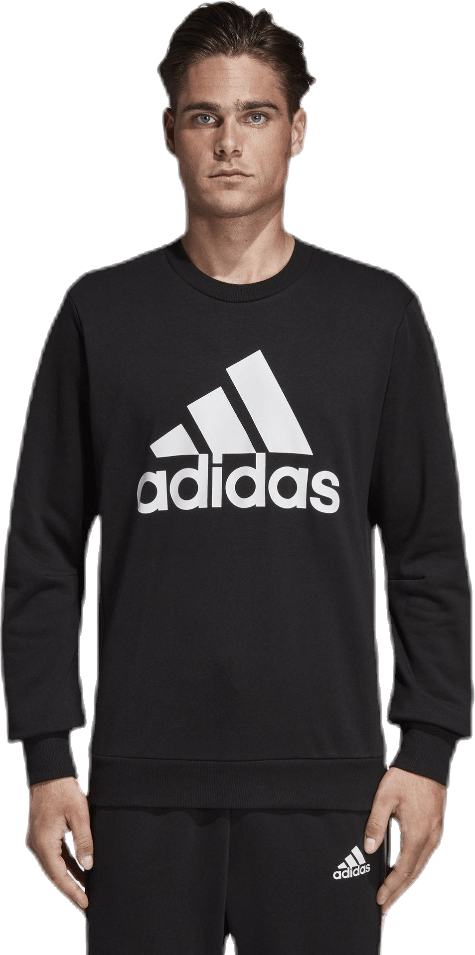 Must Have Fitted Crew White/Black, Male, Apparels, Shirts, Black, XS