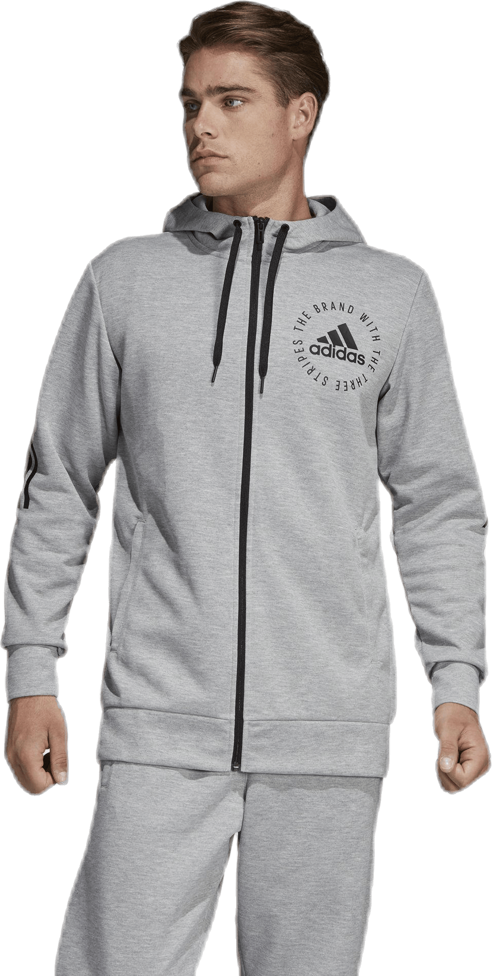 Sid Full Zip Hood Grey, Male, Apparels, Shirts, Grey, M