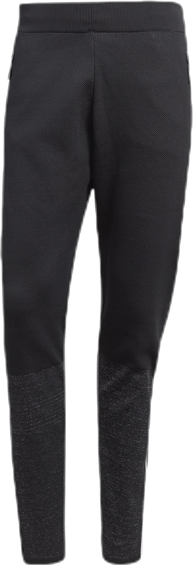zne primeknit pants