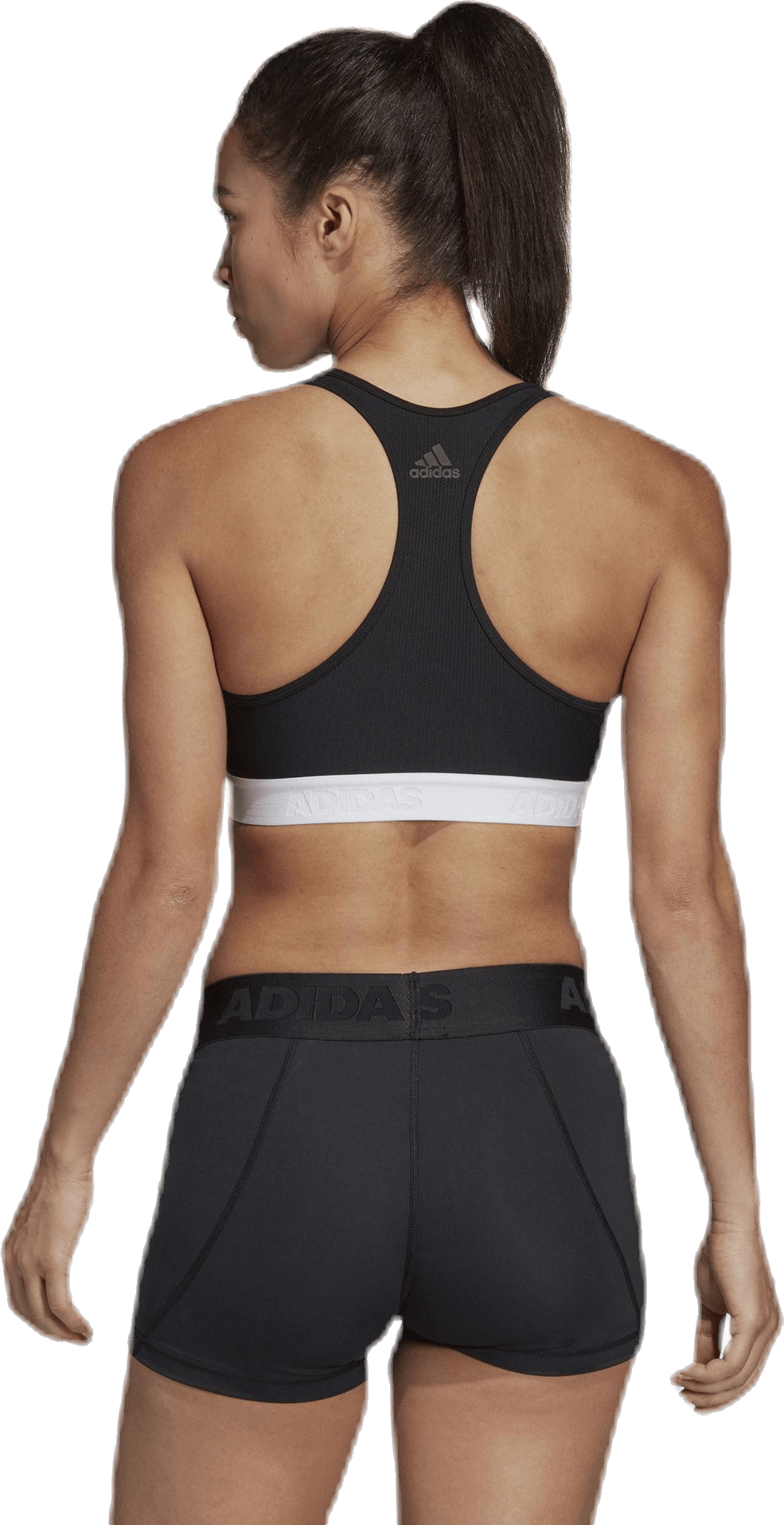 Alphaskin Support Bra LG White/Black, Female, Abbigliamento, Reggiseno sportivo, Allenamento, Nero, XS