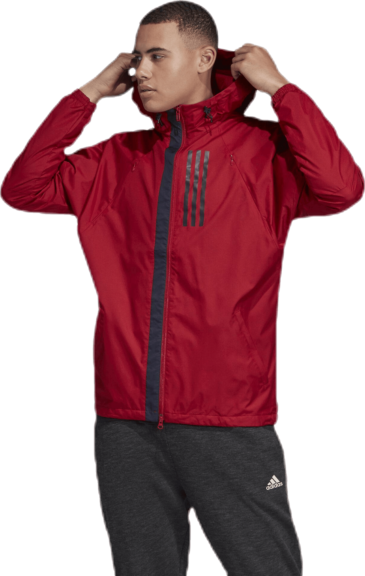 Wind Jacket Lined Red, Male, Apparels, jackets, Red, S