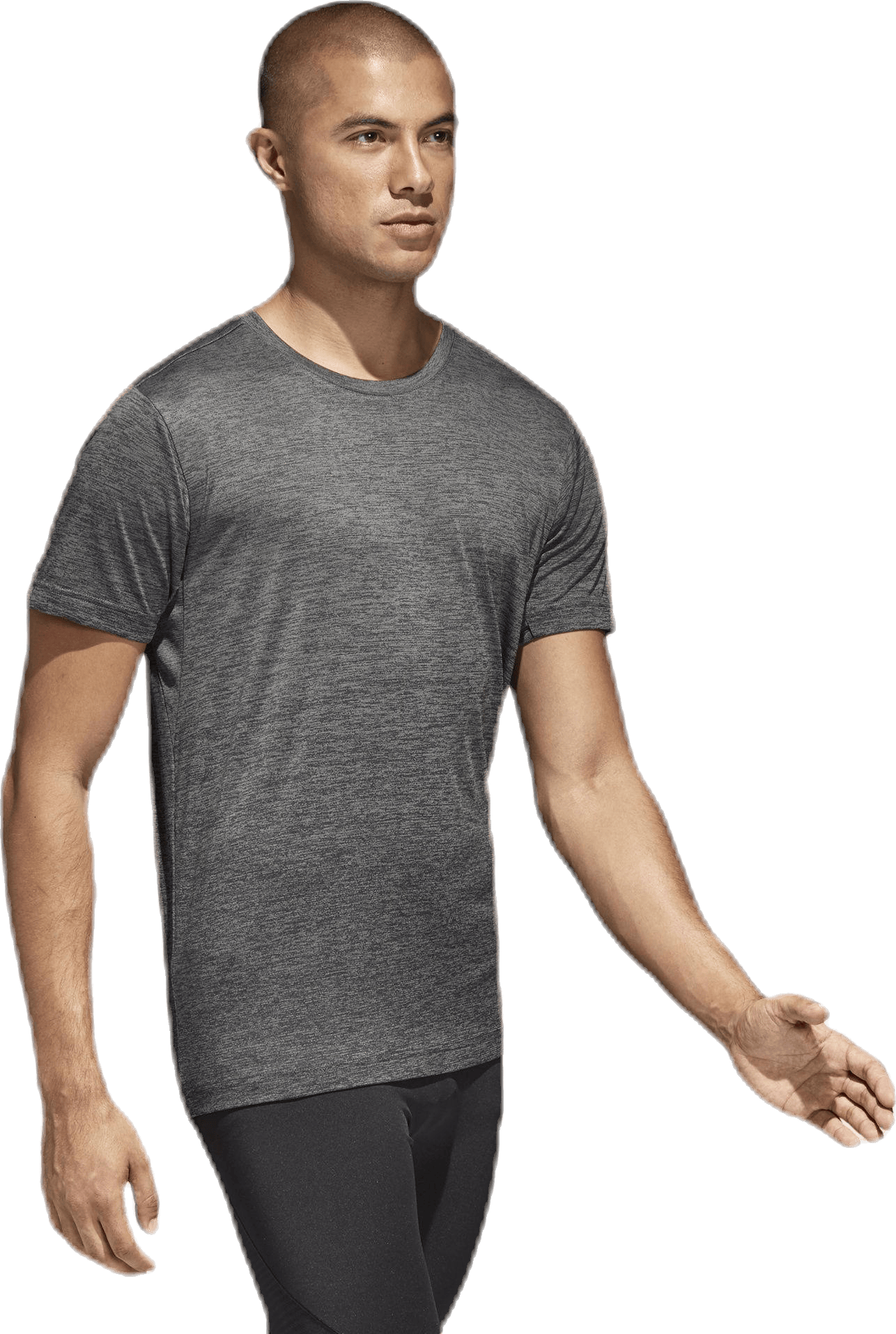 FreeLift gradi Grey, Male, Klær, T skjorte, Trening, Grå, S