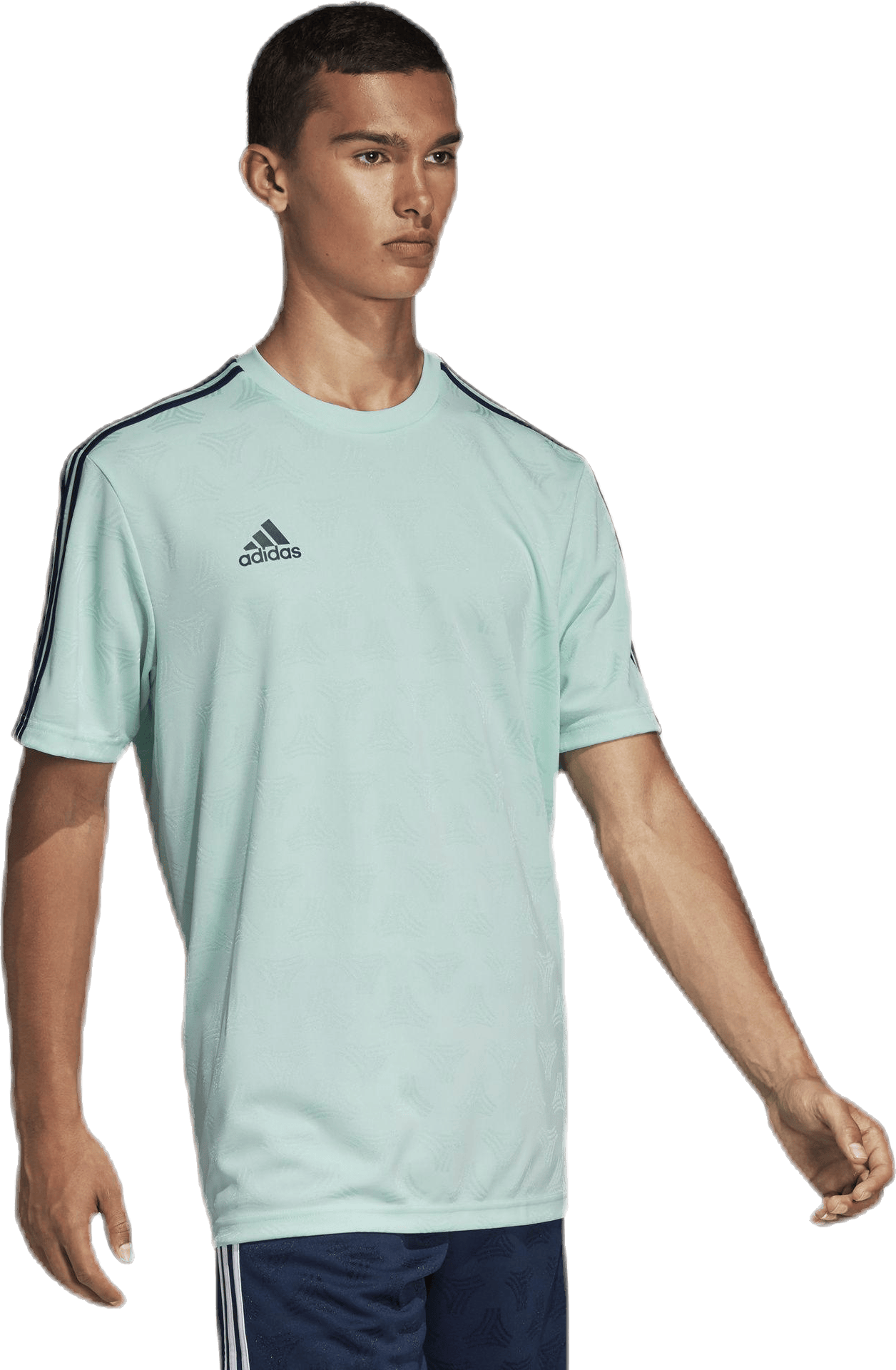 Tango Jaquard Jersey Blue/Green - Bild 5