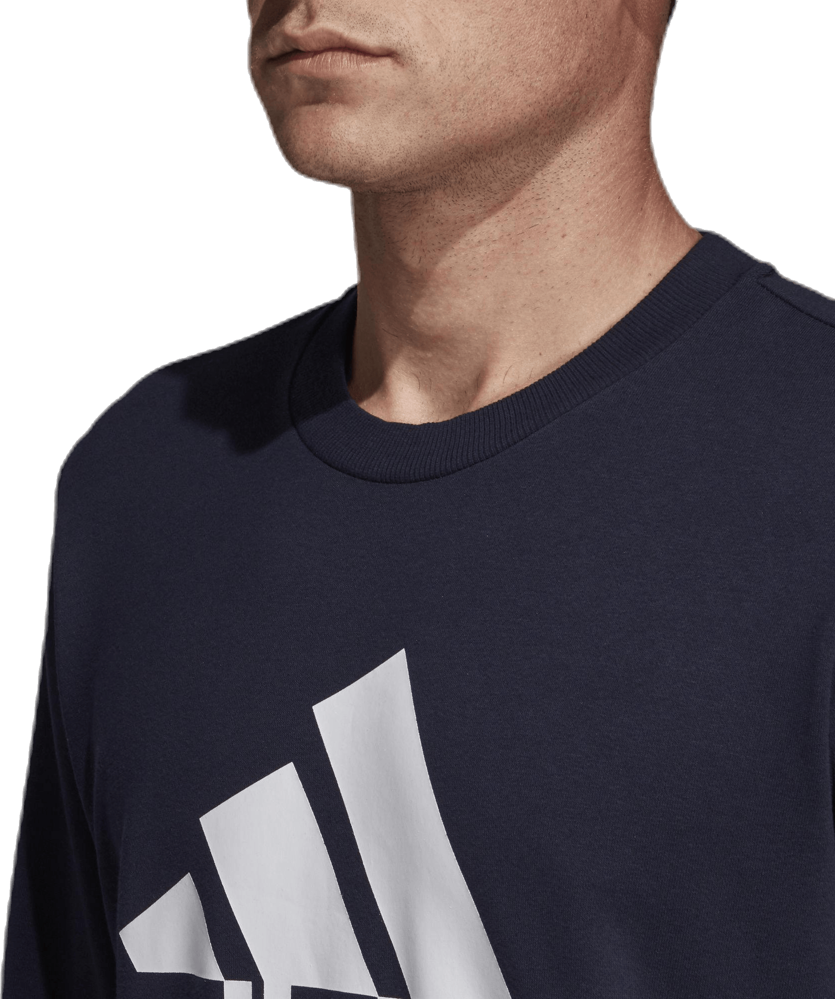 Must Have Fitted Crew Blue - Bild 7