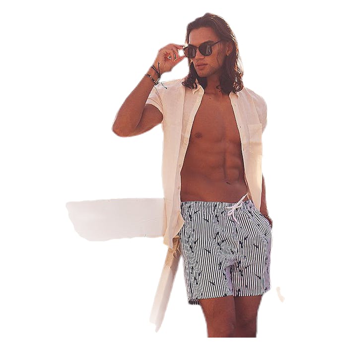 Louie Swim Trunks Blue/Patterned, Male, Apparels, Swimwear, Swimming, Blue/Patterned, L