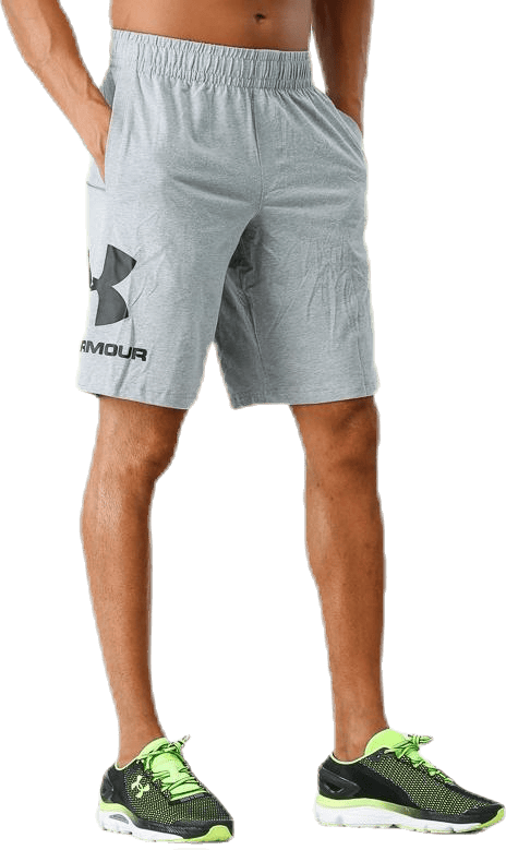 Sportstyle Graphic Short Grey - Bild 3