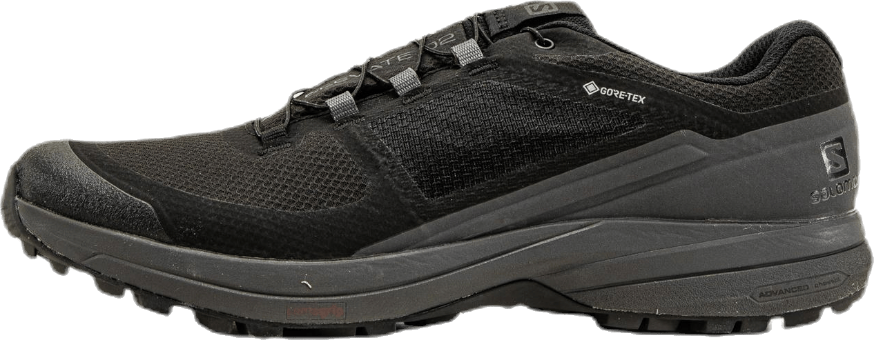 XA Elevate 2 GTX Black, Male, Shoes, Running shoes, Black, UK 9,5