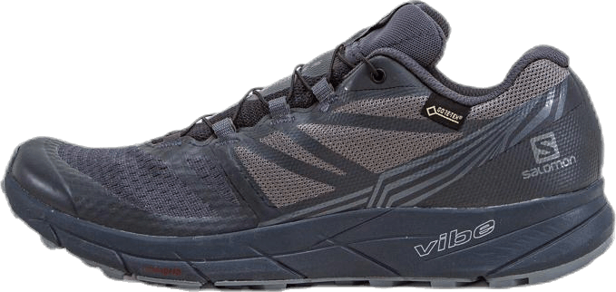 Sense Ride GTX Noctur Black/Grey, Female, Skor, Löparskor, Löpning, Svart/Grå, EU 44 2/3